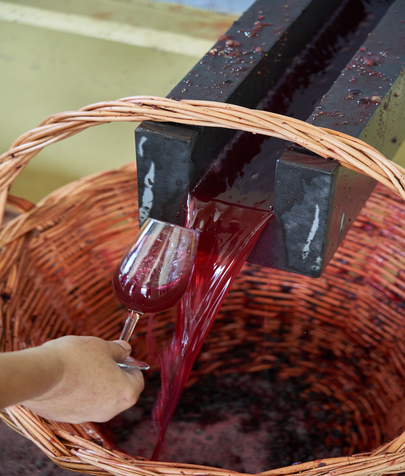 Madeira Wine Festival
