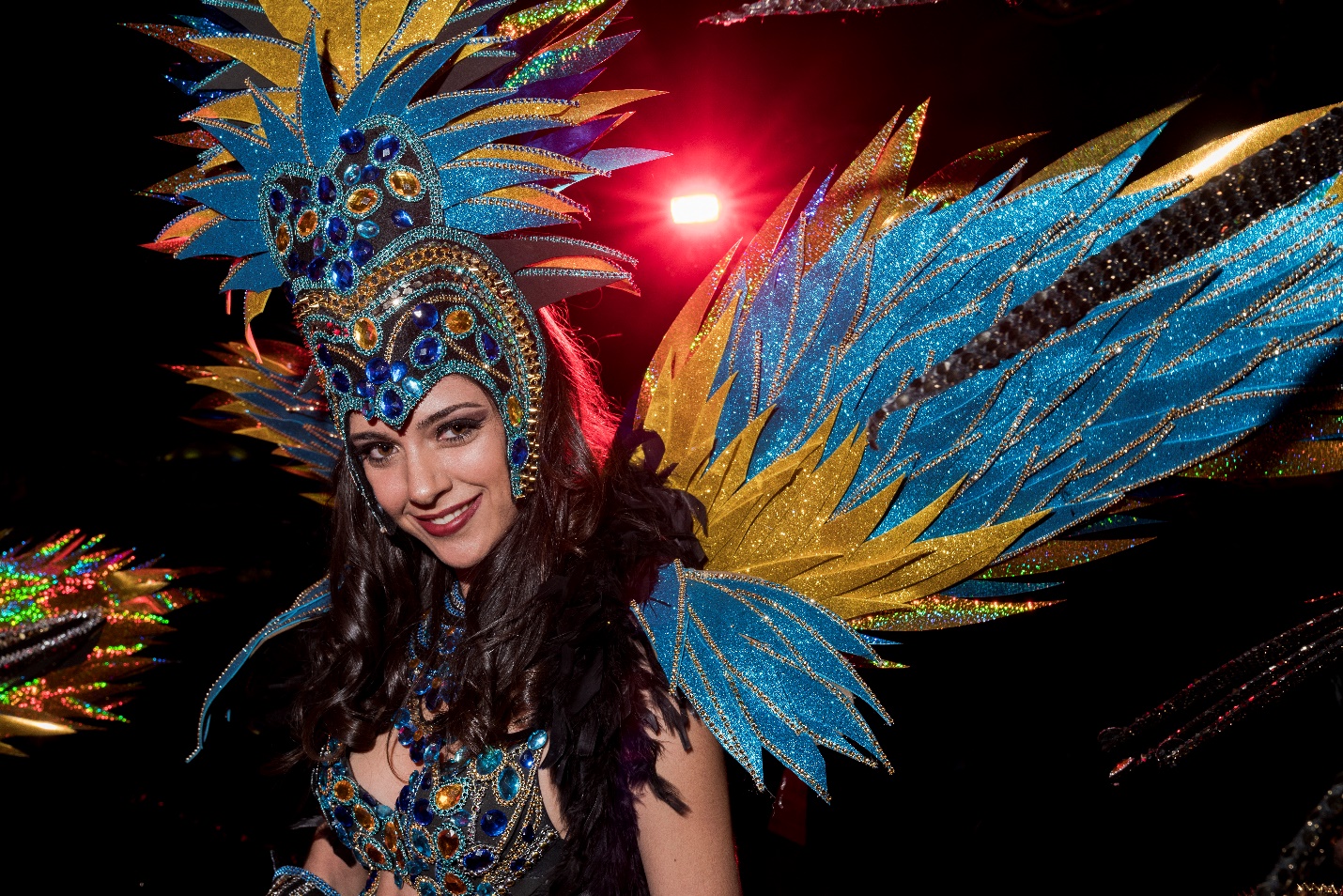 Carnival Festivities Madeira